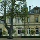 croppedimage680368 asone head v2