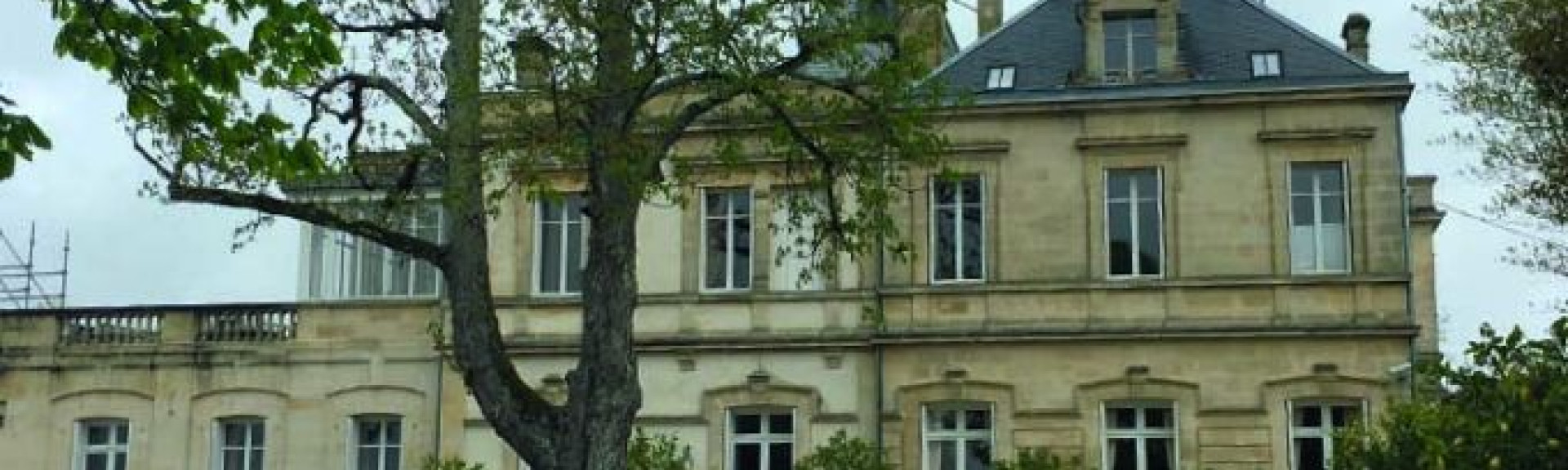 croppedimage680368 asone head v2