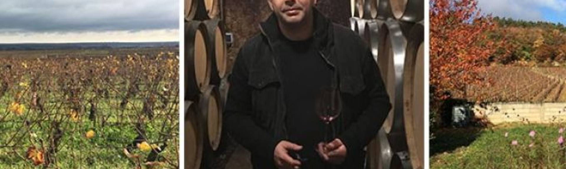 croppedimage680368 domaineheantardy 2inline v2