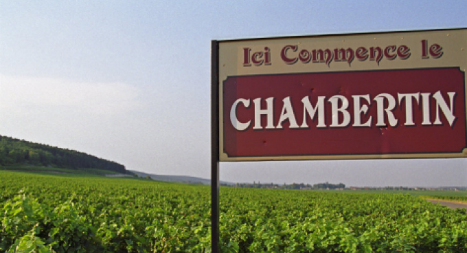 Spotlight on - Le Chambertin, Grand Cru | Cult Wines