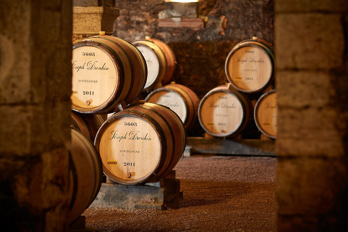 Wine academy. Wine academy