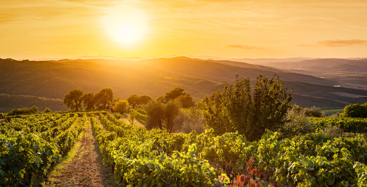 Italy’s Golden Age Invest now in iconic Italian releases! Cult Wines