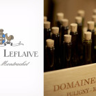 leflaive v2