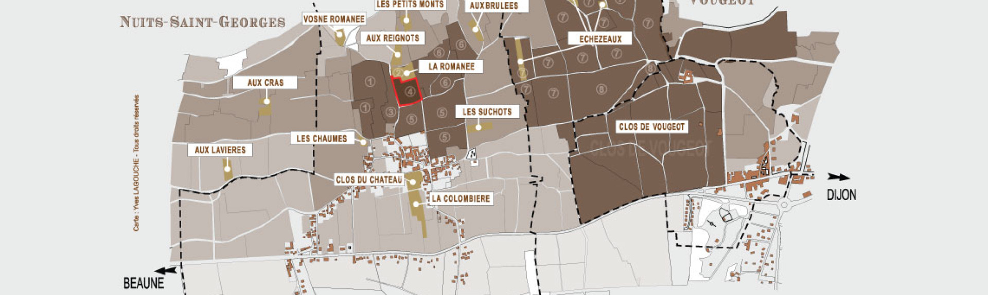 liger belair blog head