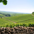 louisjadot v2