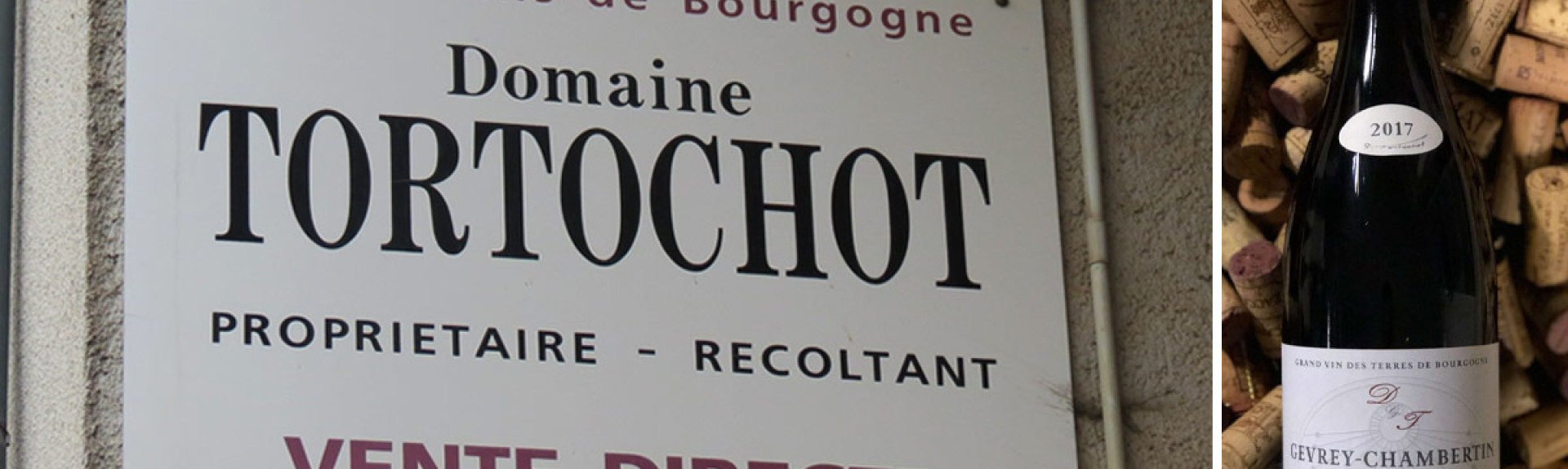 tortochot v2