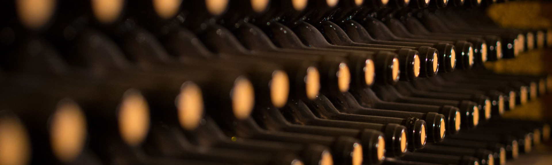 wine cellar shutterstock 1023046129 small