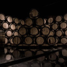 wineupdate tn