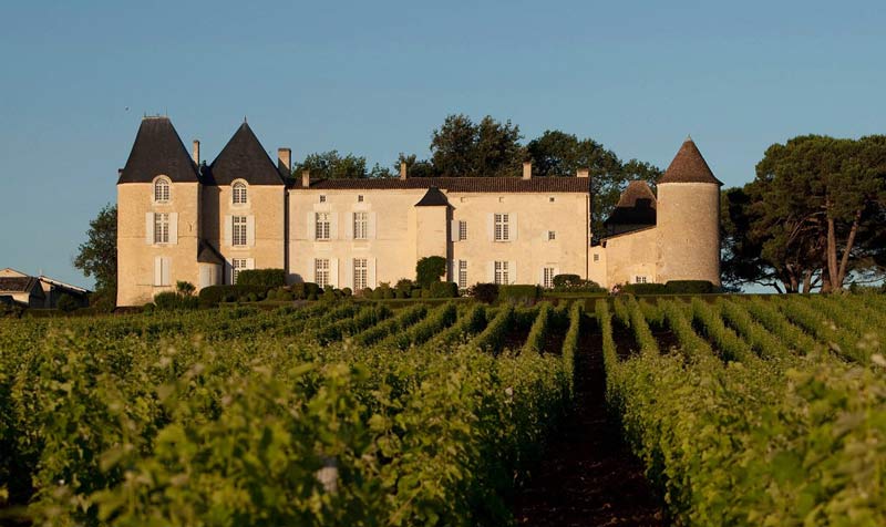 Yquem to go biodynamic