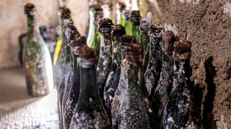 Pol Roger to use robotics to rescue century-old Champagne