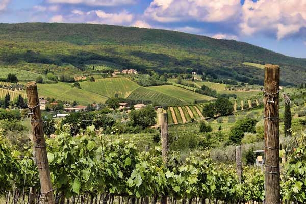 Italian wines to adopt En Primeur model