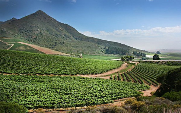 Swartland, South Africa