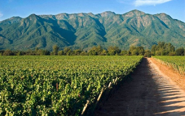 Casablanca Valley, Chile