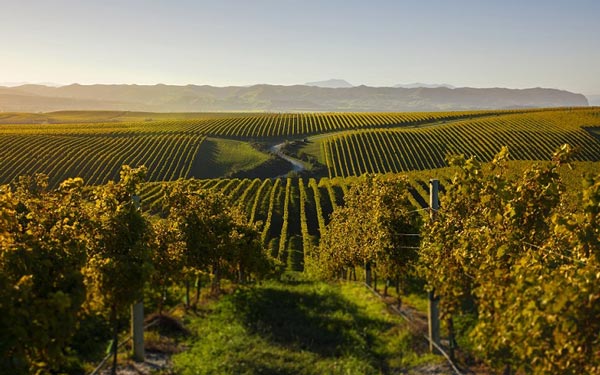 Marlborough, New Zealand