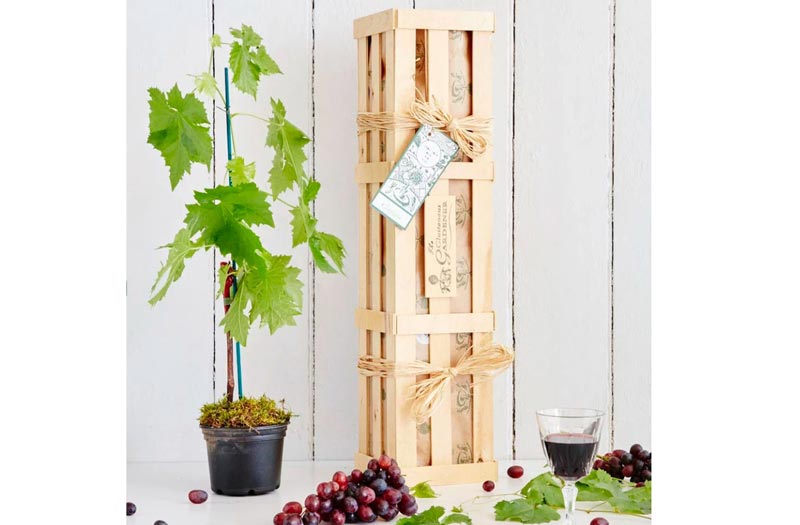 Grow your own red wine gift crate